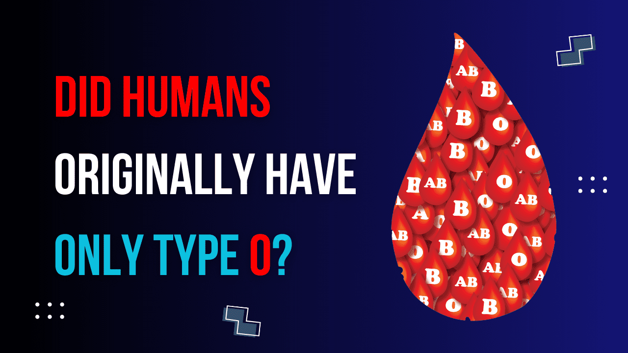 Read more about the article Blood Types Origin: Did Humans Originally Have Only Type O?
