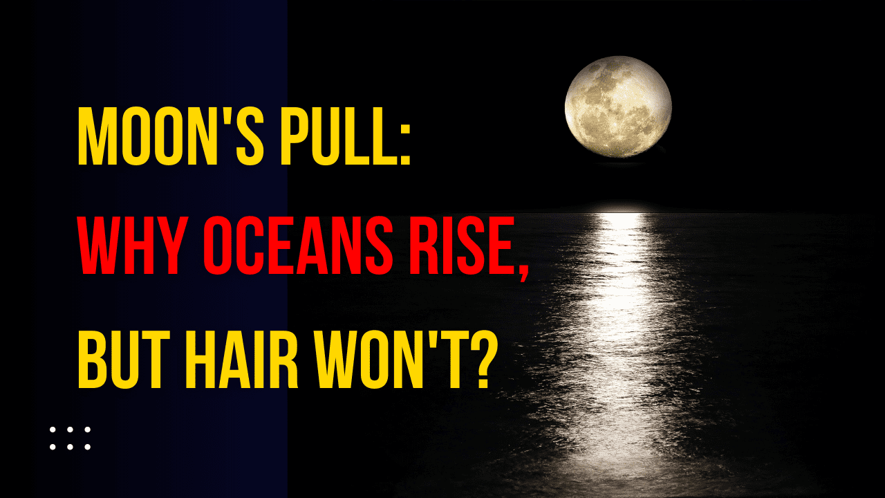 You are currently viewing The moon’s gravity moves the seas around, so why can’t it lift a person’s hair?