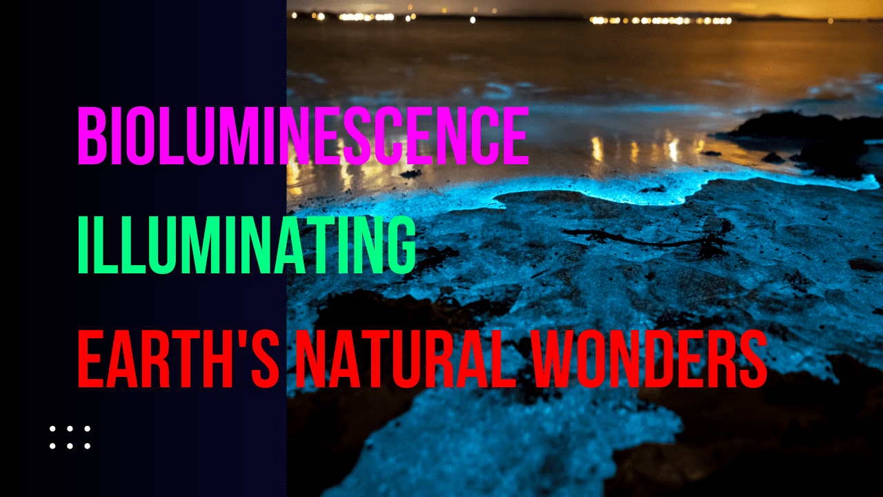 You are currently viewing Bioluminescence: Illuminating Earth’s Natural Wonders