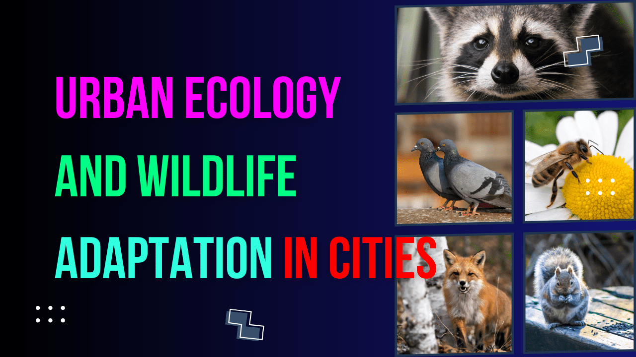You are currently viewing What 5 Animals Do Behind Closed Doors: Urban Ecology and Wildlife Adaptation in Cities
