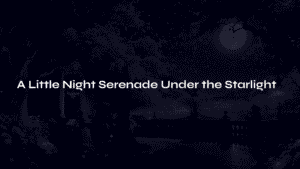 Read more about the article Mozart’s Eine kleine Nachtmusik: A Little Night Serenade Under the Starlight