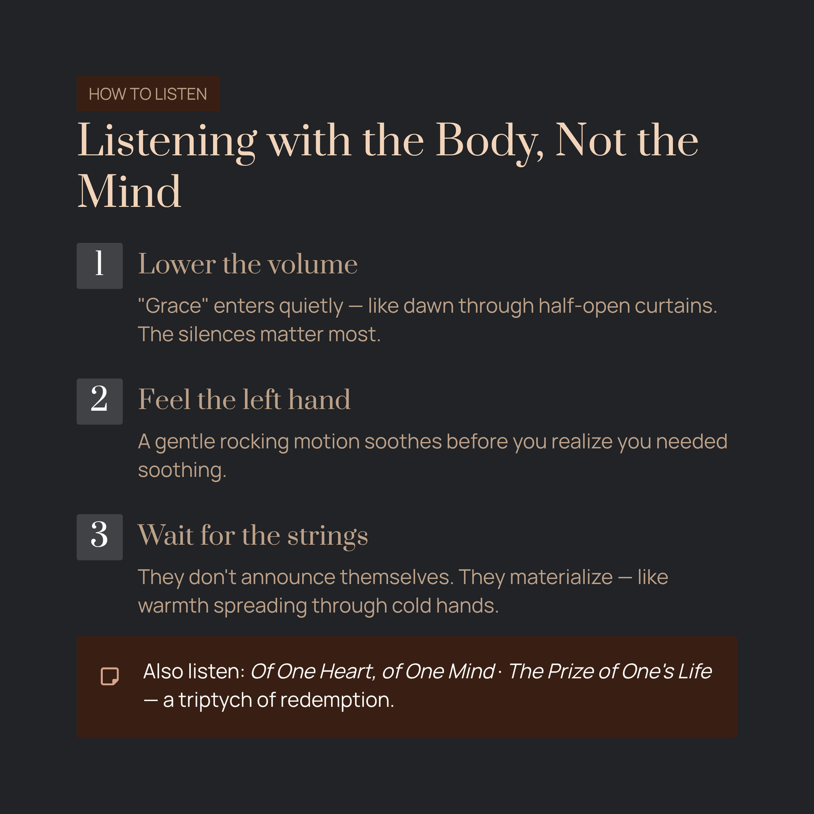 Section Image 4