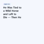 He Was Tied to a Wild Horse and Left to Die — Then He Became King | Liszt – Transcendental Études No. 4 ‘Mazeppa