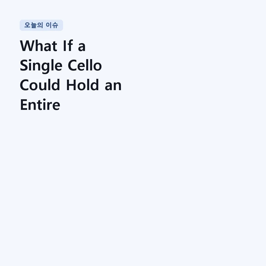 You are currently viewing What If a Single Cello Could Hold an Entire Silence? | Bach – Cello Suite No. 6, BWV 1012, Sarabande